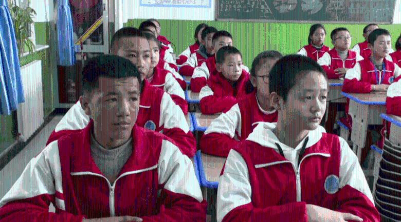 植物大战僵尸7